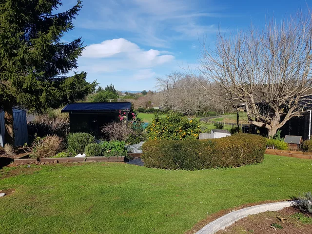 Garden paths and established planting · owner photo, July 2023